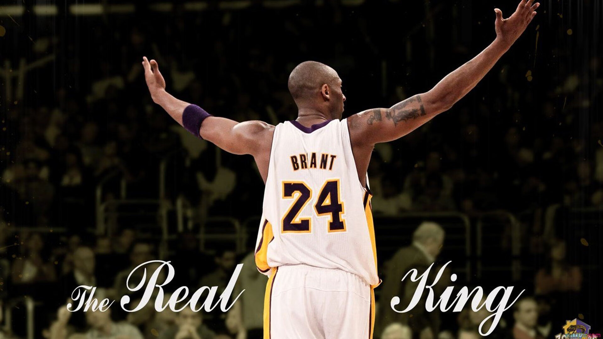 扎马莱克连续三场保持零封，防守稳固，gcw扎克莱德